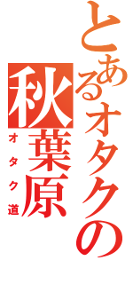 とあるオタクの秋葉原（オタク道）