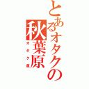 とあるオタクの秋葉原（オタク道）