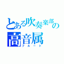 とある吹奏楽部の高音属（フルート）