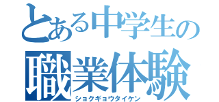 とある中学生の職業体験（ショクギョウタイケン）