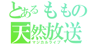 とあるももの天然放送（マジカルライブ）