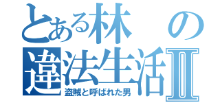 とある林の違法生活Ⅱ（盗賊と呼ばれた男）