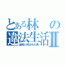 とある林の違法生活Ⅱ（盗賊と呼ばれた男）