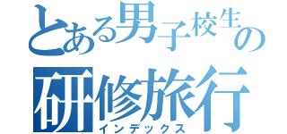 とある男子校生の研修旅行（インデックス）