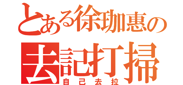 とある徐珈惠の去記打掃（自己去拉）