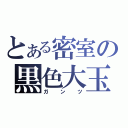 とある密室の黒色大玉（ガンツ）