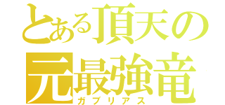 とある頂天の元最強竜種（ガブリアス）