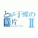 とある于蝶の照片Ⅱ（インデックス）