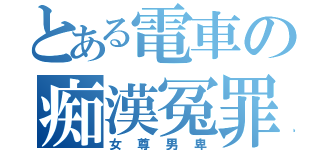 とある電車の痴漢冤罪（女尊男卑）