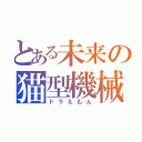 とある未来の猫型機械（ドラえもん）