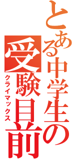 とある中学生の受験目前（クライマックス）