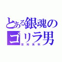 とある銀魂のゴリラ男（空知英秋）