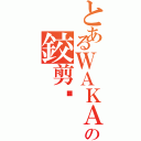 とあるＷＡＫＡＮＤＡの鉸剪腳（）