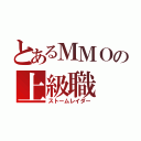 とあるＭＭＯの上級職（ストームレイダー）