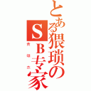 とある猥琐のＳＢ专家（黄雄杰）