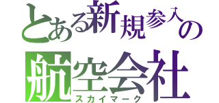 とある新規参入の航空会社（スカイマーク）