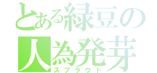 とある緑豆の人為発芽（スプラウト）