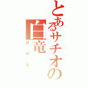 とあるサチオの白竜（旦那様）