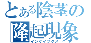 とある陰茎の隆起現象（インケイックス）