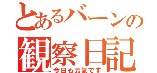 とあるバーンの観察日記（今日も元気です）