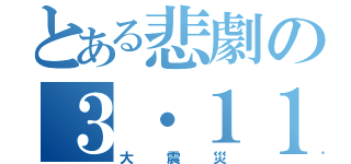 とある悲劇の３・１１（大震災）