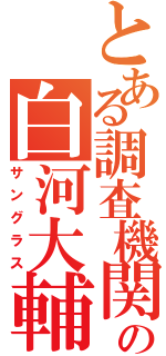 とある調査機関の白河大輔（サングラス）