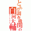 とある調査機関の白河大輔（サングラス）