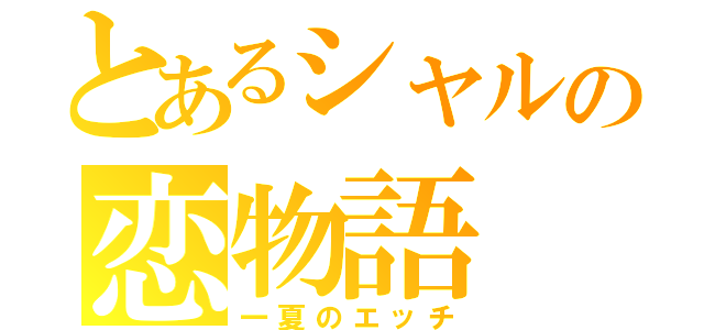 とあるシャルの恋物語（一夏のエッチ）