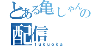 とある亀しゃんの配信（ｆｕｋｕｏｋａ）