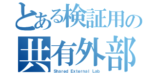 とある検証用の共有外部電脳網（Ｓｈａｒｅｄ Ｅｘｔｅｒｎａｌ Ｌａｂ）