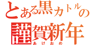 とある黒カトルＥＸの謹賀新年（あけおめ）