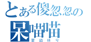 とある傻忽忽の呆喵喵（夏絔林兮）