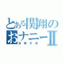 とある関翔のおナニーⅡ（自傷行為）