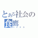 とある社会の食鷹（ハゲタカ）