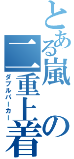 とある嵐の二重上着（ダブルパーカー）