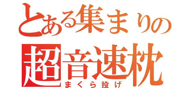 とある集まりの超音速枕（まくら投げ）