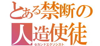 とある禁断の人造使徒（セカンドエクソシスト）