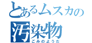 とあるムスカの汚染物（ごみのようだ）