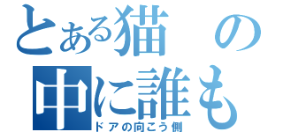 とある猫の中に誰もいませんよ？（ドアの向こう側）