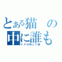 とある猫の中に誰もいませんよ？（ドアの向こう側）