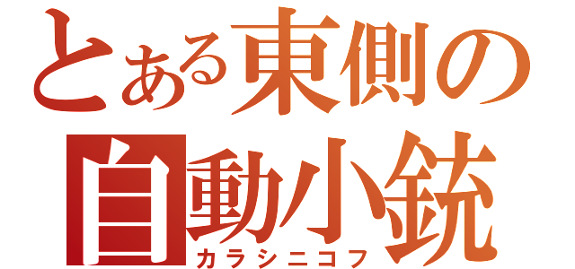 とある東側の自動小銃（カラシニコフ）