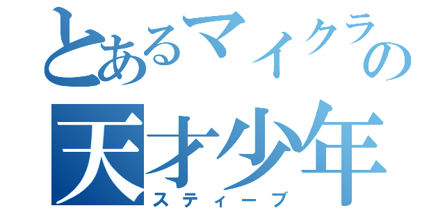 とあるマイクラ界のの天才少年（スティーブ）