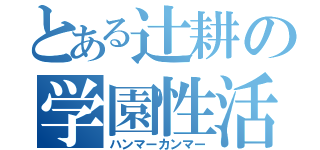 とある辻耕の学園性活（ハンマーカンマー）