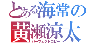 とある海常の黄瀬涼太（パーフェクトコピー）