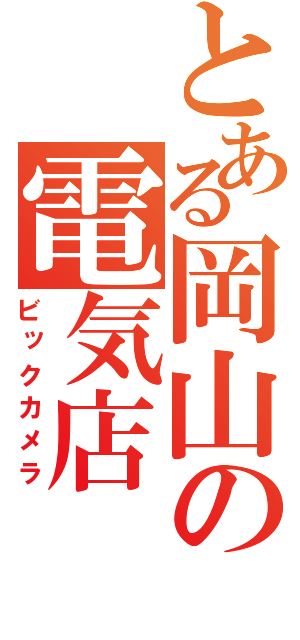 とある岡山の電気店（ビックカメラ）