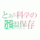 とある科学の定温保存（サーマルハンド）