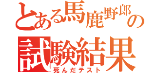 とある馬鹿野郎の試験結果（死んだテスト）