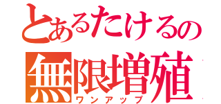 とあるたけるの無限増殖（ワンアップ）