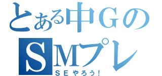 とある中ＧのＳＭプレイ（ＳＥやろう！）