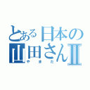 とある日本の山田さんⅡ（やまだ）